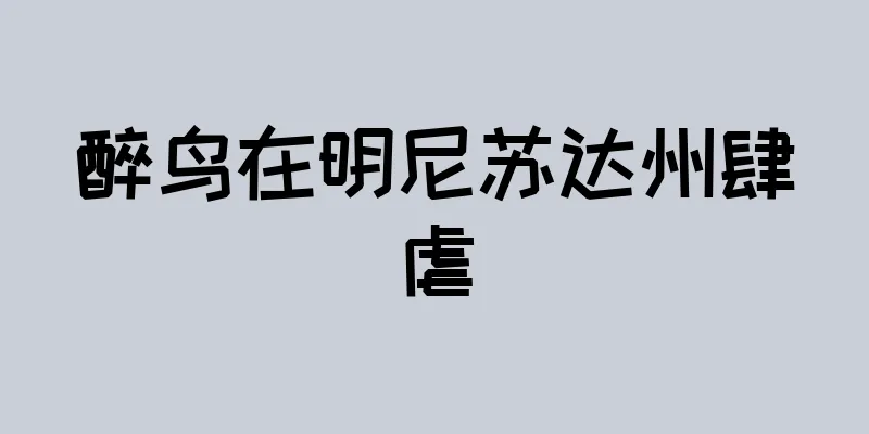 醉鸟在明尼苏达州肆虐