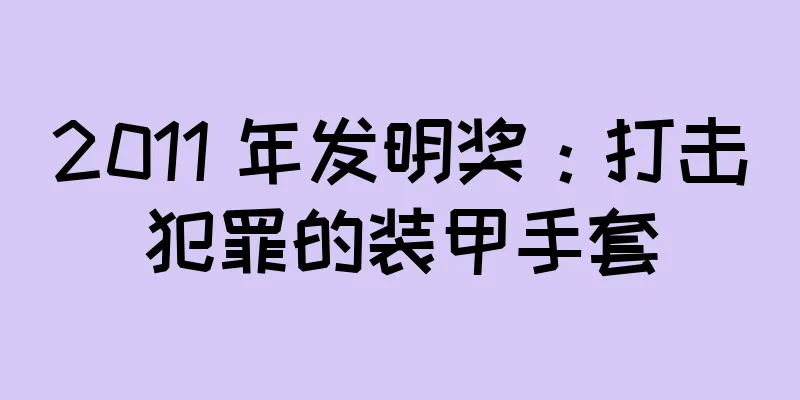 2011 年发明奖：打击犯罪的装甲手套