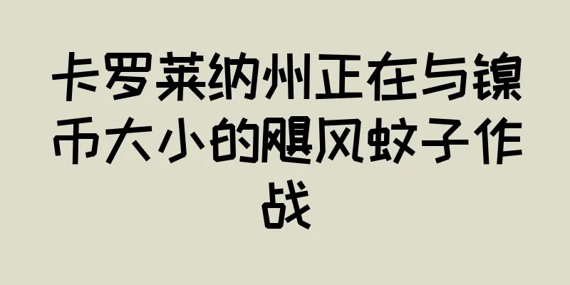 卡罗莱纳州正在与镍币大小的飓风蚊子作战