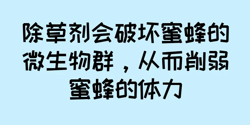 除草剂会破坏蜜蜂的微生物群，从而削弱蜜蜂的体力