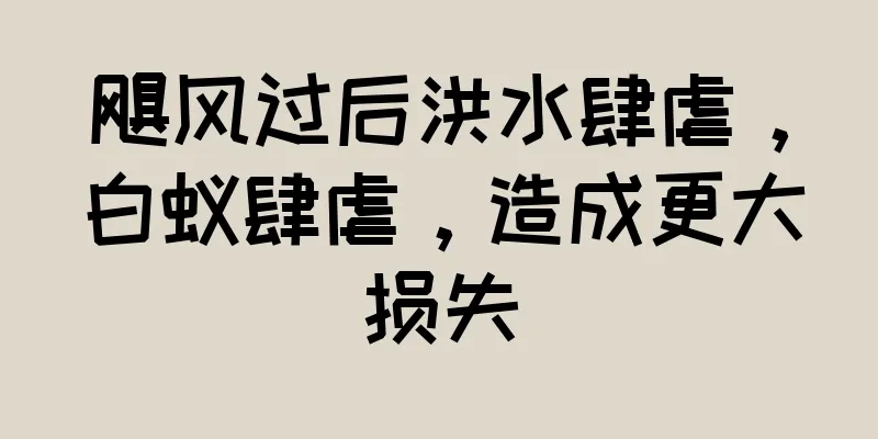 飓风过后洪水肆虐，白蚁肆虐，造成更大损失