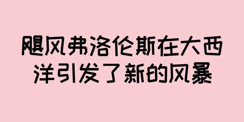飓风弗洛伦斯在大西洋引发了新的风暴