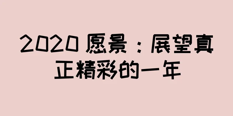 2020 愿景：展望真正精彩的一年