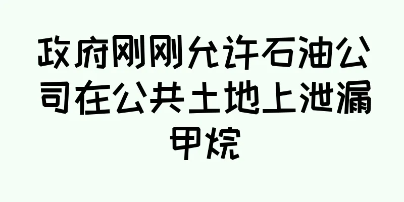 政府刚刚允许石油公司在公共土地上泄漏甲烷