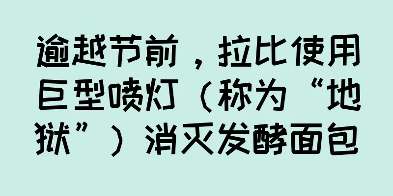 逾越节前，拉比使用巨型喷灯（称为“地狱”）消灭发酵面包