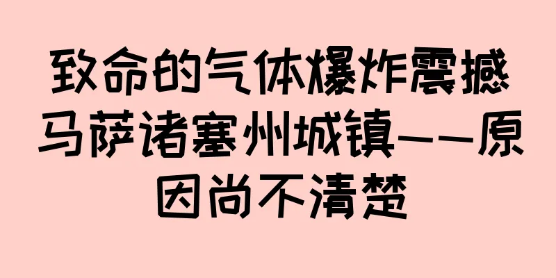致命的气体爆炸震撼马萨诸塞州城镇——原因尚不清楚