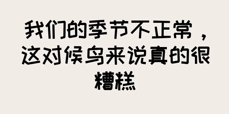 我们的季节不正常，这对候鸟来说真的很糟糕