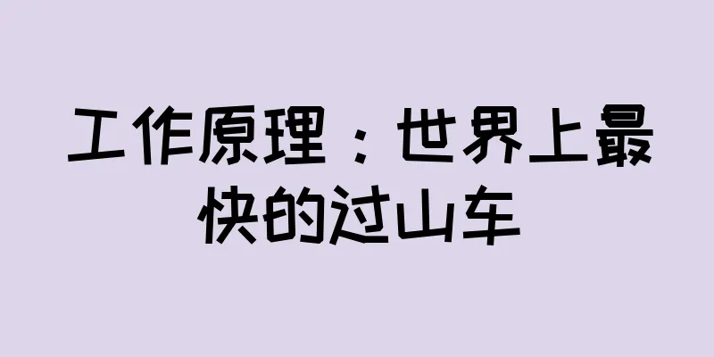 工作原理：世界上最快的过山车