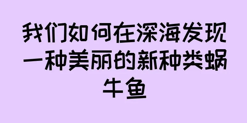 我们如何在深海发现一种美丽的新种类蜗牛鱼