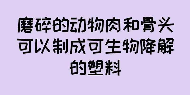 磨碎的动物肉和骨头可以制成可生物降解的塑料