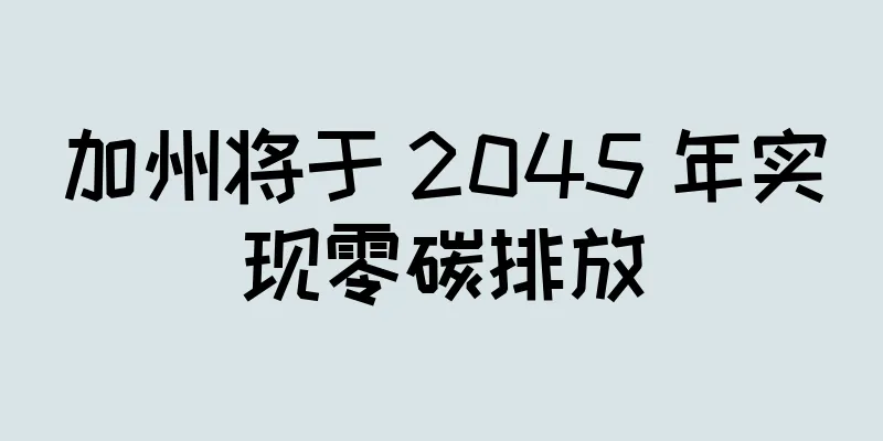 加州将于 2045 年实现零碳排放