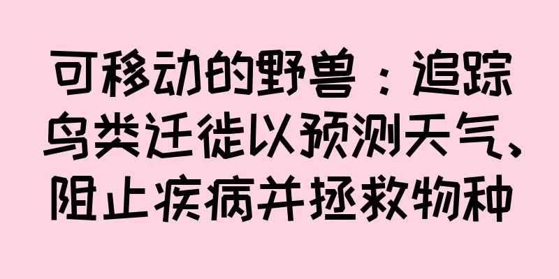 可移动的野兽：追踪鸟类迁徙以预测天气、阻止疾病并拯救物种