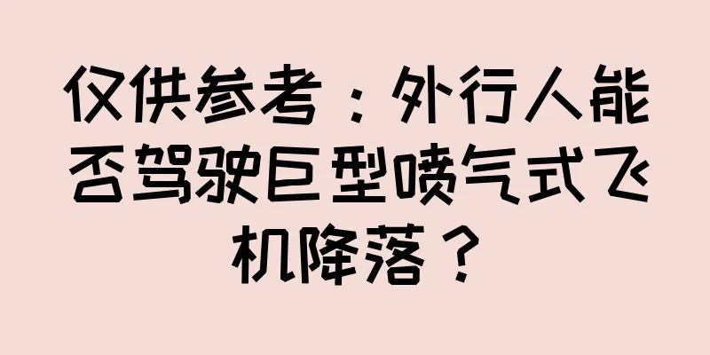 仅供参考：外行人能否驾驶巨型喷气式飞机降落？