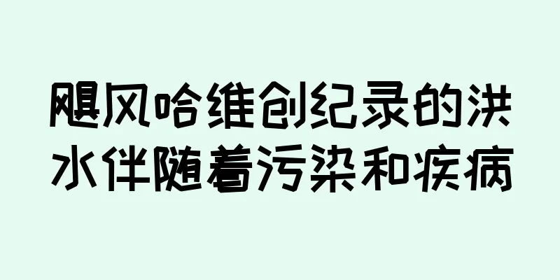 飓风哈维创纪录的洪水伴随着污染和疾病