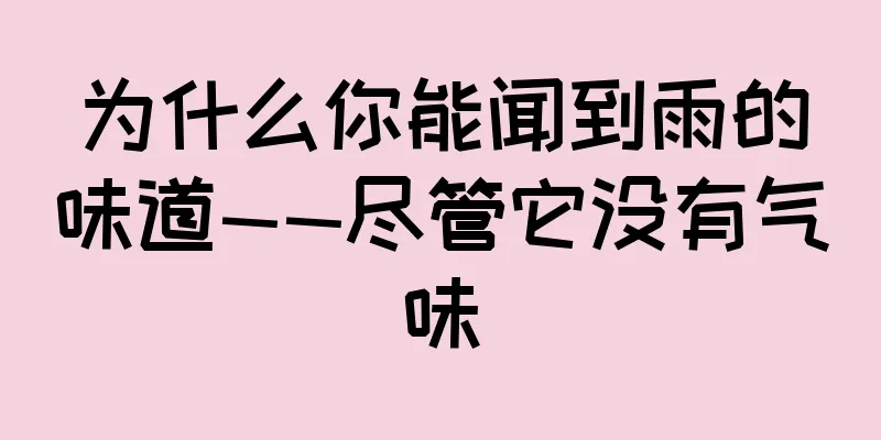 为什么你能闻到雨的味道——尽管它没有气味
