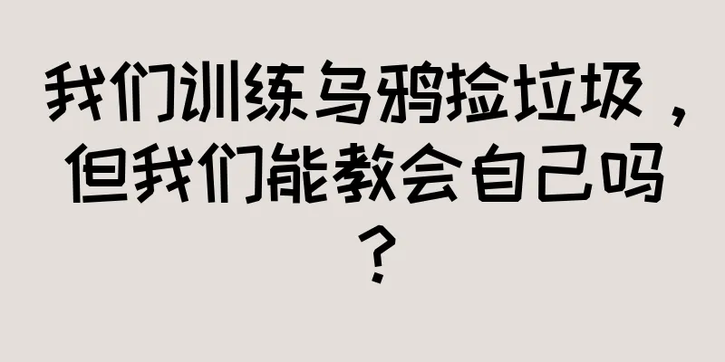 我们训练乌鸦捡垃圾，但我们能教会自己吗？