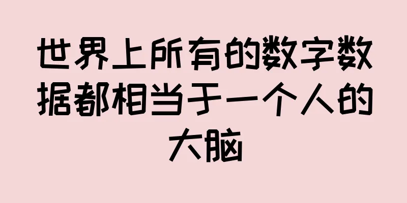 世界上所有的数字数据都相当于一个人的大脑