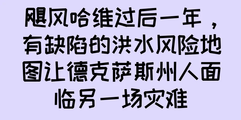 飓风哈维过后一年，有缺陷的洪水风险地图让德克萨斯州人面临另一场灾难