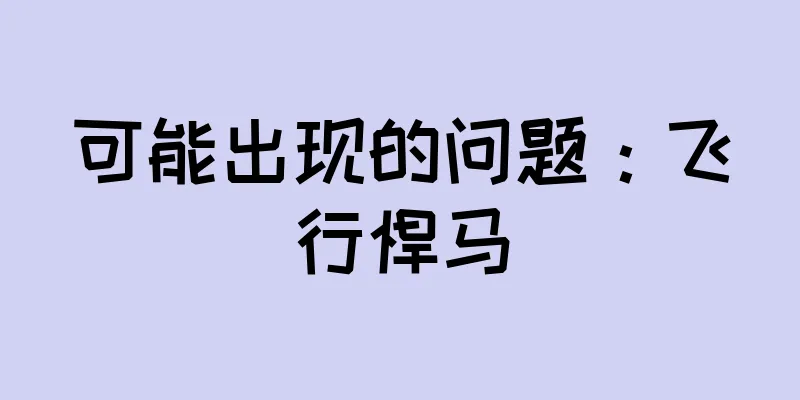 可能出现的问题：飞行悍马