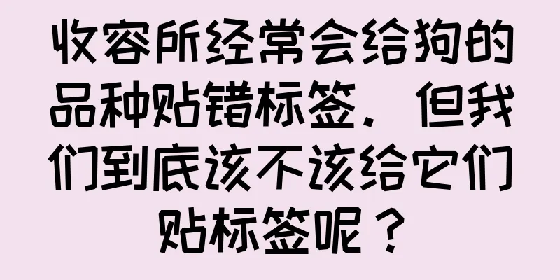 收容所经常会给狗的品种贴错标签。但我们到底该不该给它们贴标签呢？