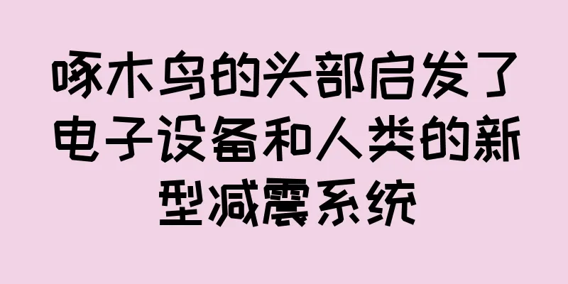 啄木鸟的头部启发了电子设备和人类的新型减震系统