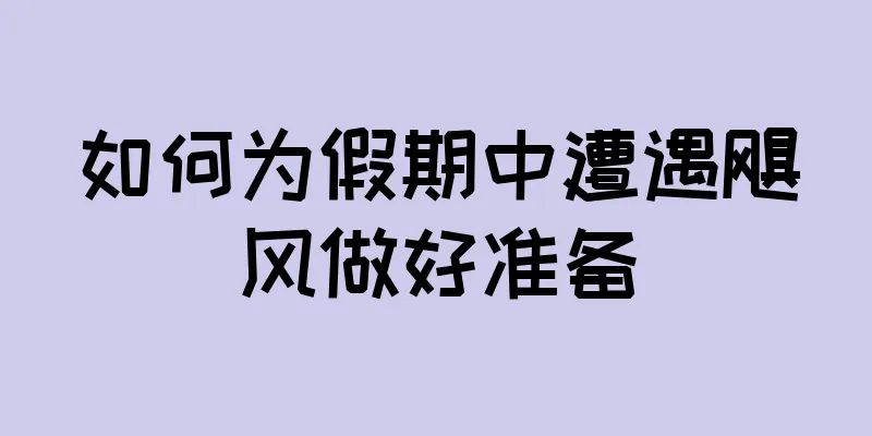 如何为假期中遭遇飓风做好准备