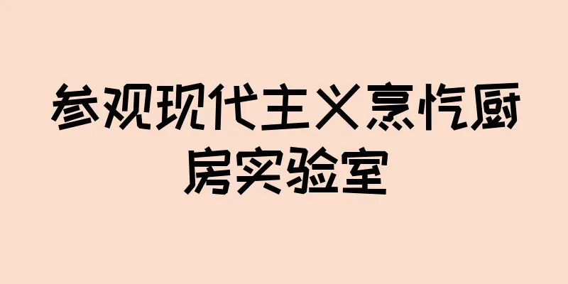 参观现代主义烹饪厨房实验室