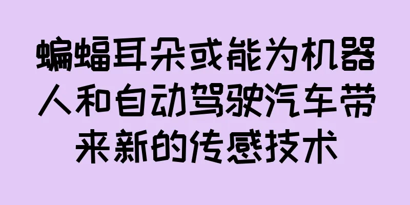 蝙蝠耳朵或能为机器人和自动驾驶汽车带来新的传感技术