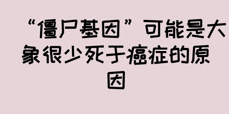 “僵尸基因”可能是大象很少死于癌症的原因