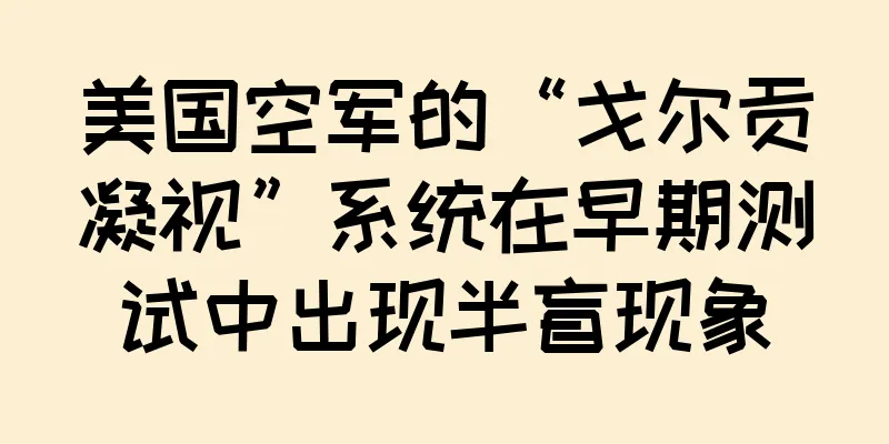 美国空军的“戈尔贡凝视”系统在早期测试中出现半盲现象