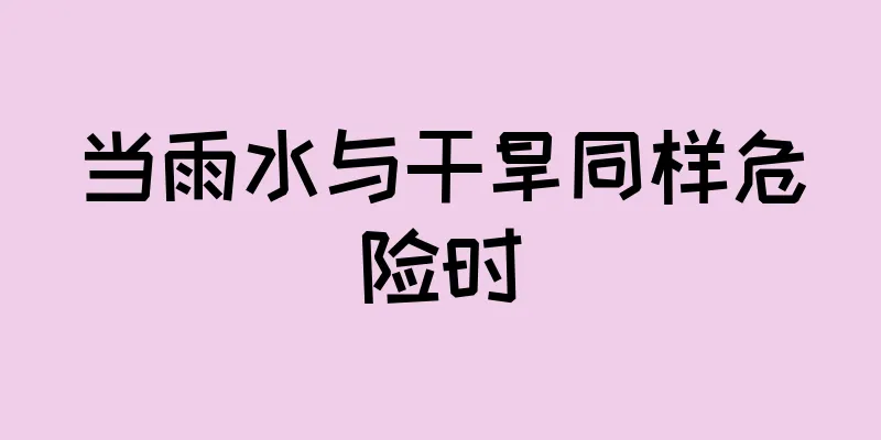 当雨水与干旱同样危险时