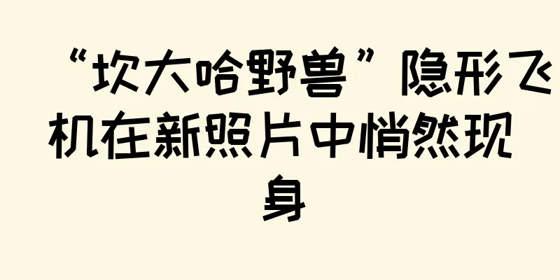 “坎大哈野兽”隐形飞机在新照片中悄然现身