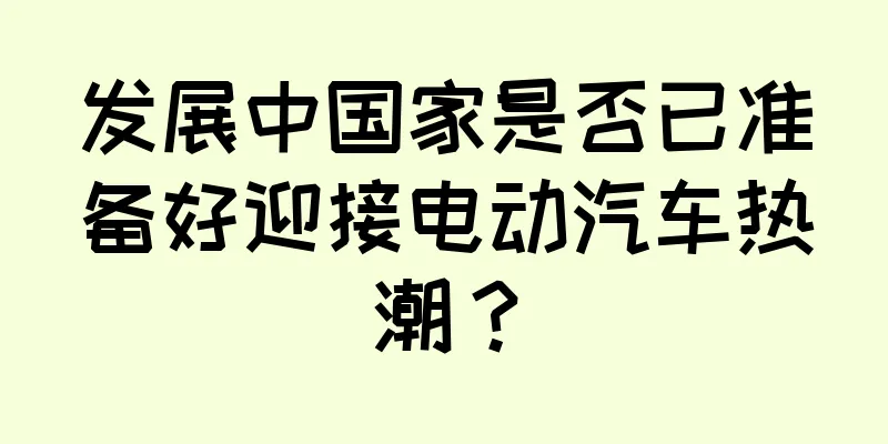 发展中国家是否已准备好迎接电动汽车热潮？