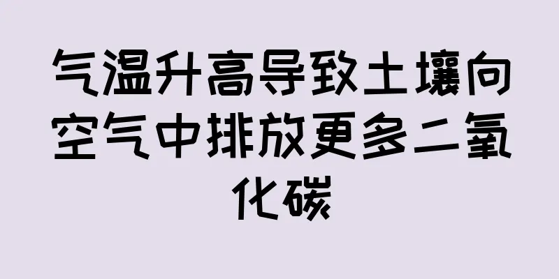气温升高导致土壤向空气中排放更多二氧化碳