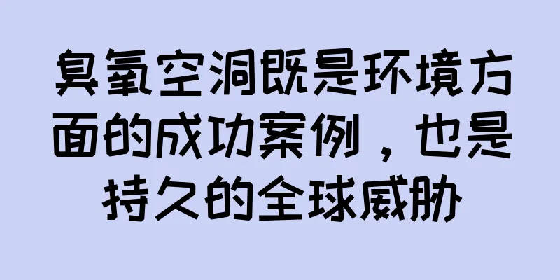 臭氧空洞既是环境方面的成功案例，也是持久的全球威胁