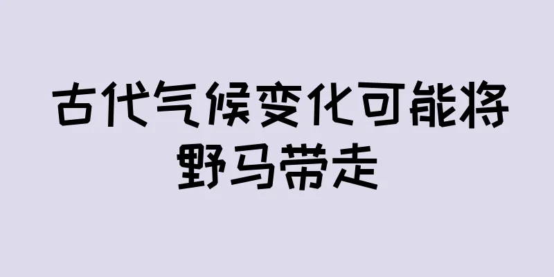 古代气候变化可能将野马带走