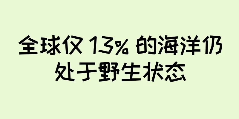 全球仅 13% 的海洋仍处于野生状态