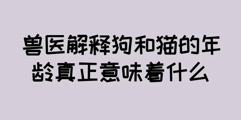兽医解释狗和猫的年龄真正意味着什么
