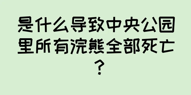 是什么导致中央公园里所有浣熊全部死亡？