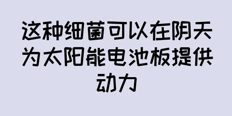 这种细菌可以在阴天为太阳能电池板提供动力