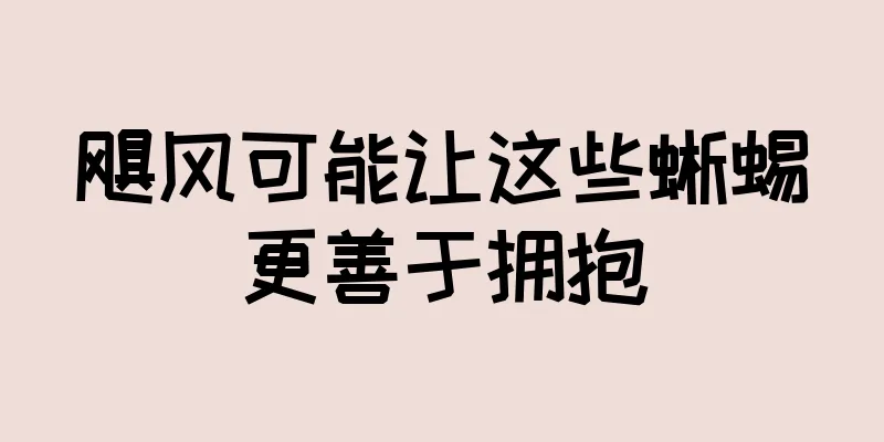 飓风可能让这些蜥蜴更善于拥抱