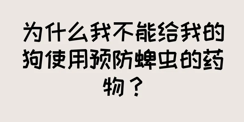 为什么我不能给我的狗使用预防蜱虫的药物？