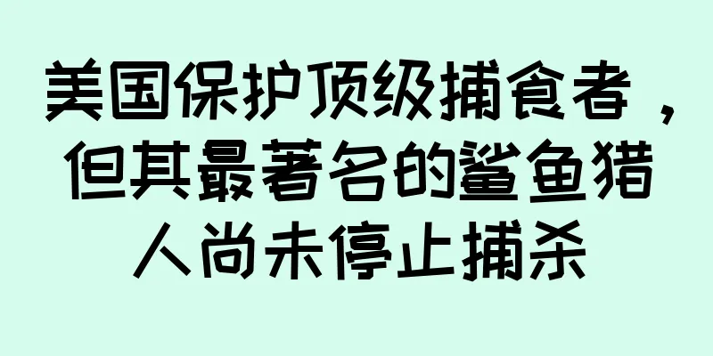 美国保护顶级捕食者，但其最著名的鲨鱼猎人尚未停止捕杀