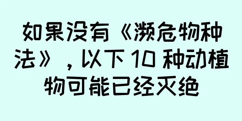如果没有《濒危物种法》，以下 10 种动植物可能已经灭绝