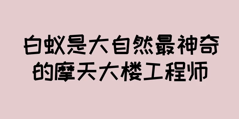 白蚁是大自然最神奇的摩天大楼工程师