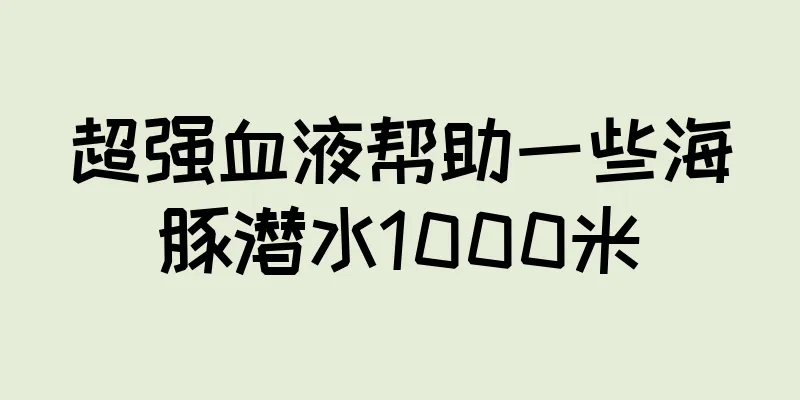 超强血液帮助一些海豚潜水1000米
