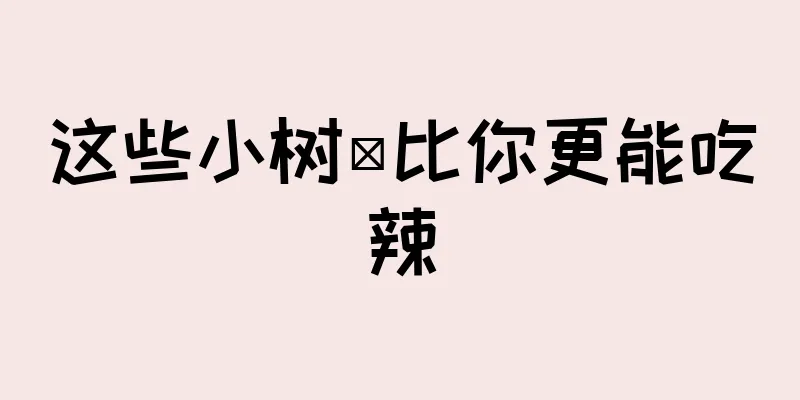 这些小树鼩比你更能吃辣