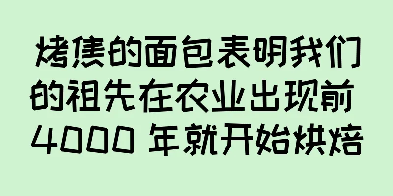 烤焦的面包表明我们的祖先在农业出现前 4000 年就开始烘焙