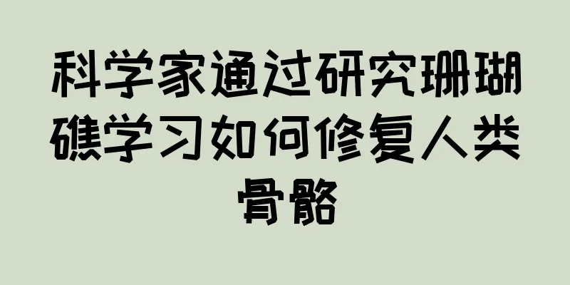 科学家通过研究珊瑚礁学习如何修复人类骨骼