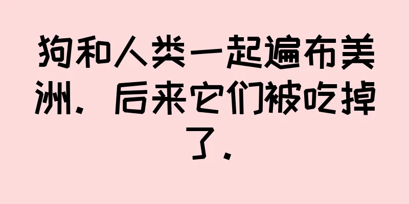 狗和人类一起遍布美洲。后来它们被吃掉了。